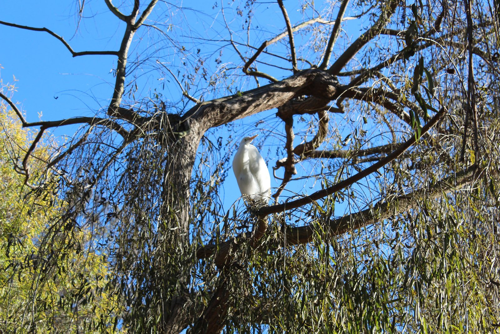 San Diego Zoo Part II 098